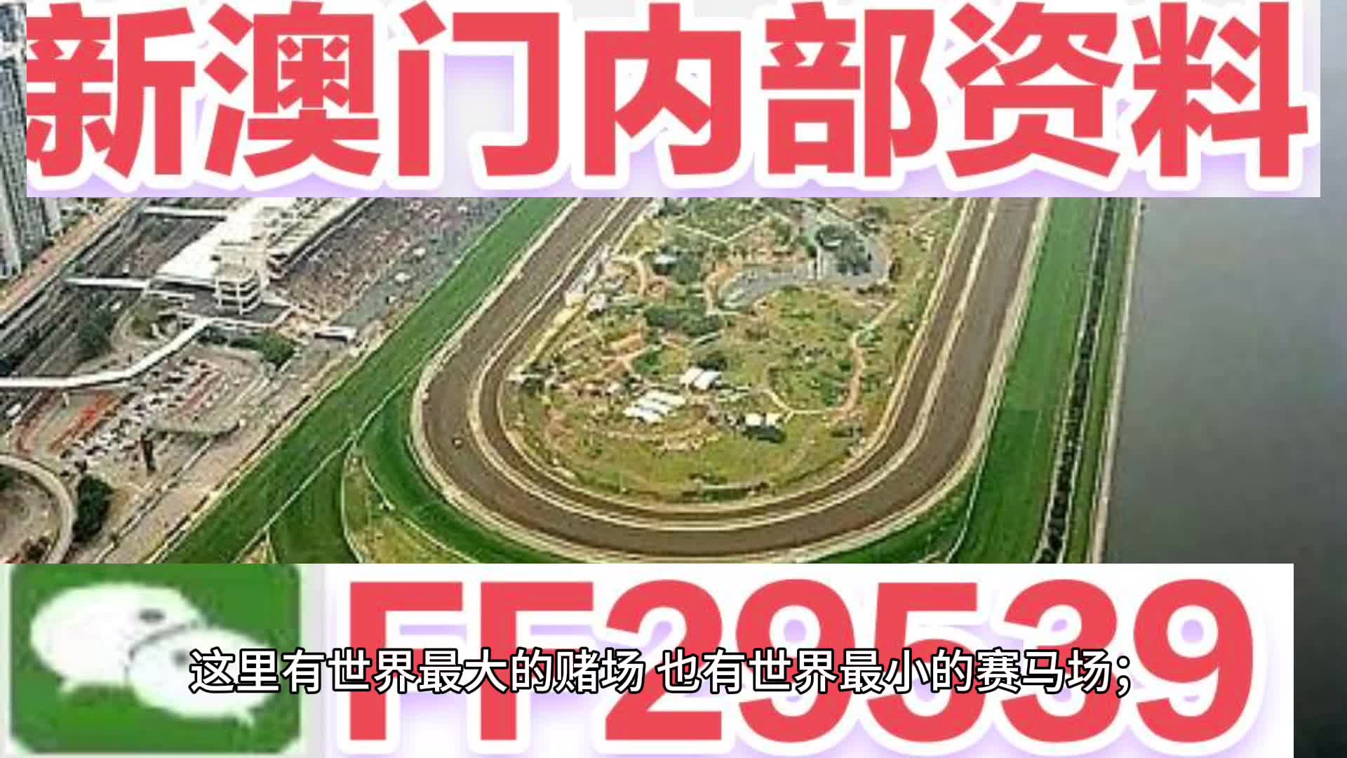 2025澳门今晚开特马开什么号码，全面释义、解释与落实